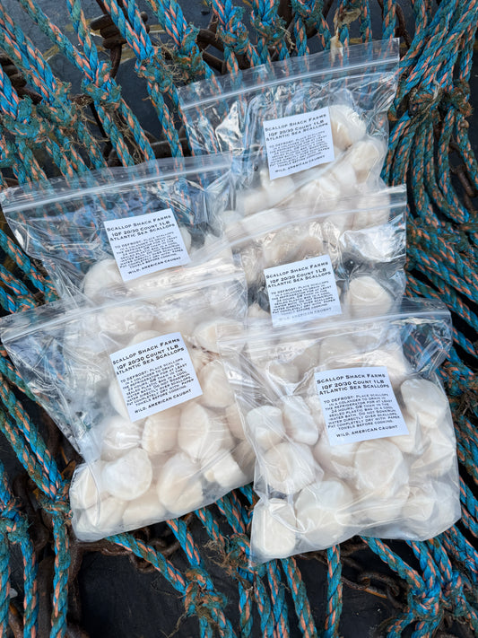 Frozen 20/30 Count IQF Atlantic Sea Scallops