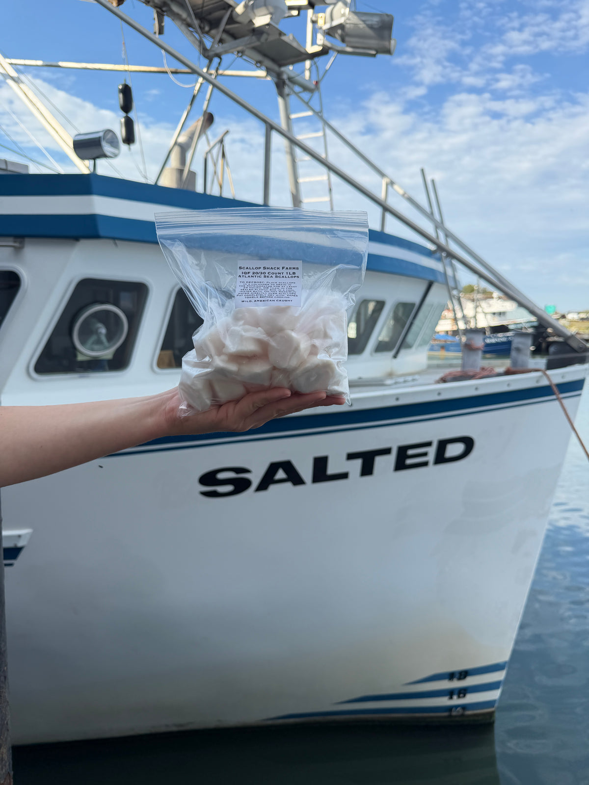 Frozen 20/30 Count IQF Atlantic Sea Scallops