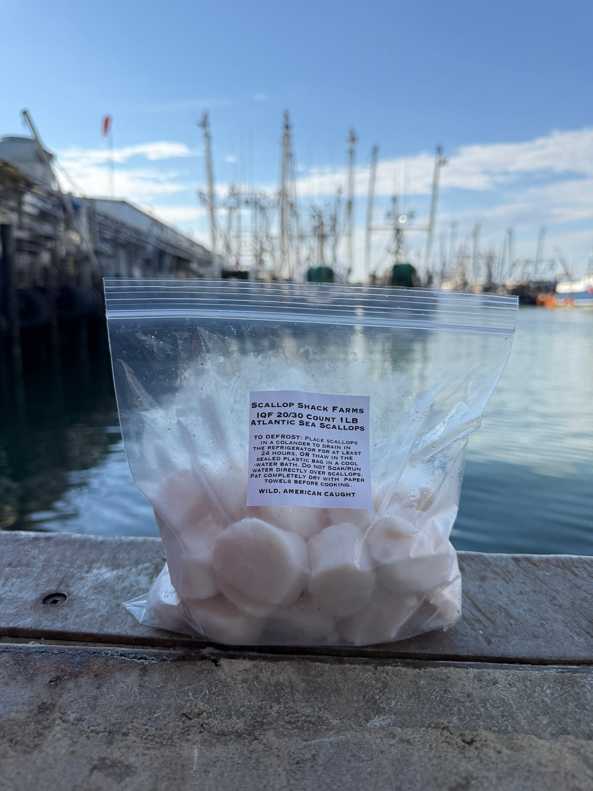 Frozen 20/30 Count IQF Atlantic Sea Scallops