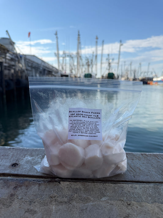 Frozen 20/30 Count IQF Atlantic Sea Scallops