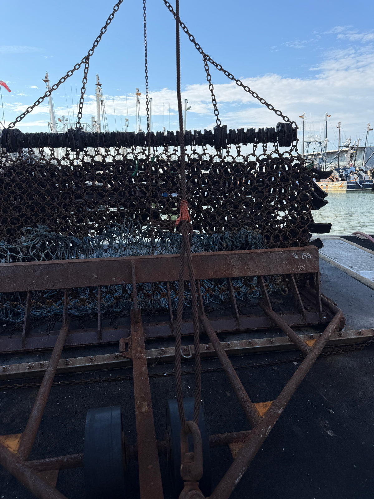 Frozen 20/30 Count IQF Atlantic Sea Scallops